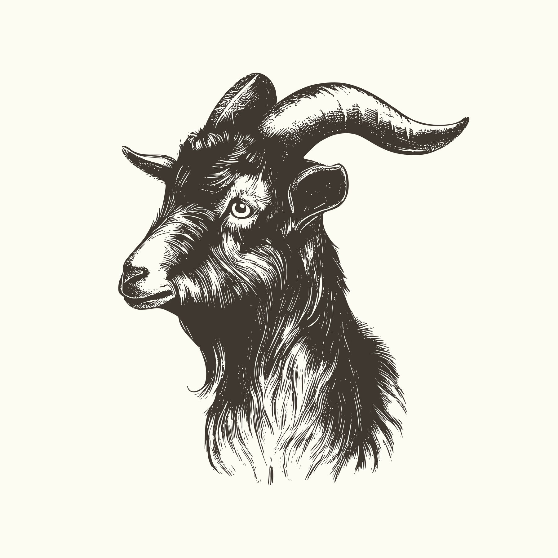 Goat Kaldi Home Roast